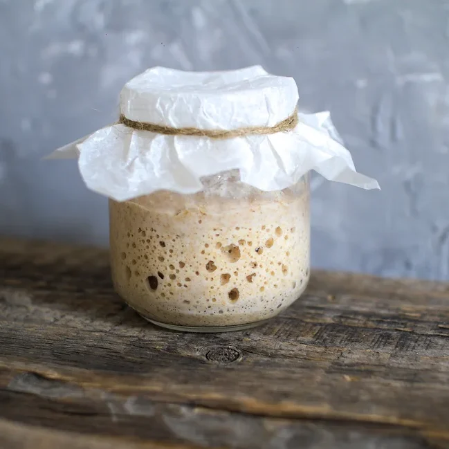 Dough starter